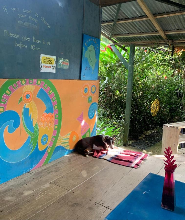 Surf Camp Hotel Bocas del Toro Exterior photo